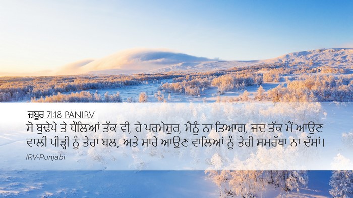 ਜ਼ਬੂਰ 71:18 PANIRV Bible Verse Image