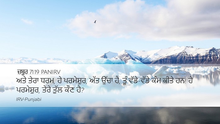 ਜ਼ਬੂਰ 71:19 PANIRV Bible Verse Image