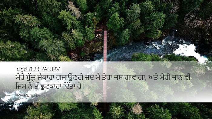 ਜ਼ਬੂਰ 71:23 PANIRV Bible Verse Image