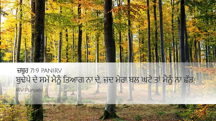 ਜ਼ਬੂਰ 71:9 PANIRV Bible Verse Image