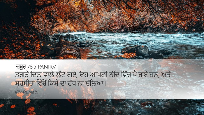 ਜ਼ਬੂਰ 76:5 PANIRV Bible Verse Image