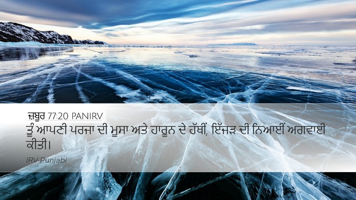 ਜ਼ਬੂਰ 77:20 PANIRV Bible Verse Image