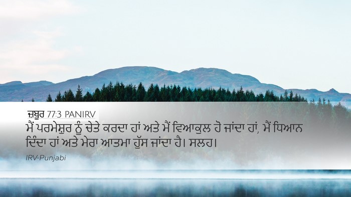 ਜ਼ਬੂਰ 77:3 PANIRV Bible Verse Image