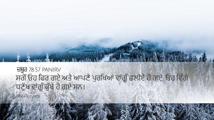 ਜ਼ਬੂਰ 78:57 PANIRV Bible Verse Image