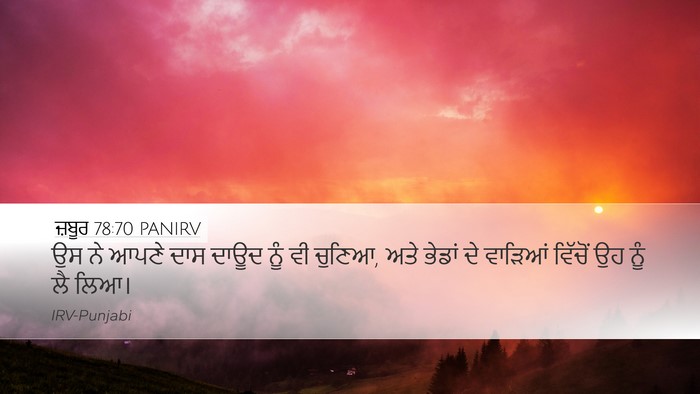 ਜ਼ਬੂਰ 78:70 PANIRV Bible Verse Image