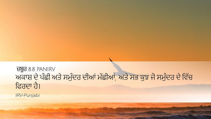 ਜ਼ਬੂਰ 8:8 PANIRV Bible Verse Image