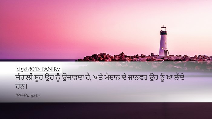 ਜ਼ਬੂਰ 80:13 PANIRV Desktop Wallpaper - ਜੰਗਲੀ ਸੂਰ ਉਹ ਨੂੰ - Desktop Bible Verse Wallpaper