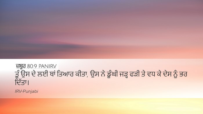 ਜ਼ਬੂਰ 80:9 PANIRV Desktop Wallpaper - ਤੂੰ ਉਸ ਦੇ ਲਈ ਥਾਂ - Desktop Bible Verse Wallpaper