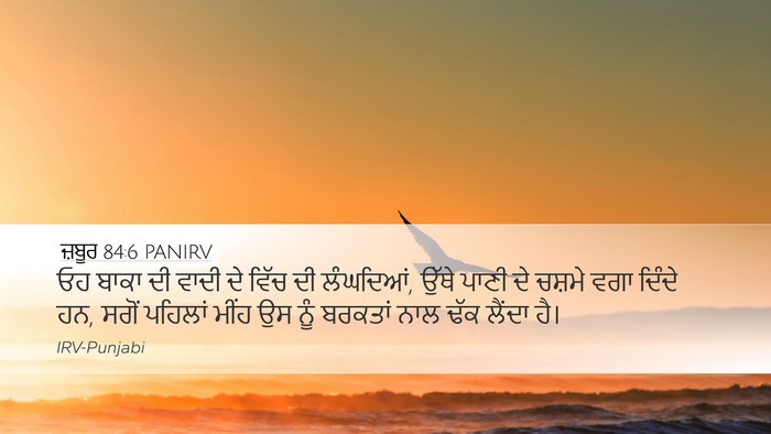 ਜ਼ਬੂਰ 84:6 PANIRV Desktop Wallpaper - ਓਹ ਬਾਕਾ ਦੀ ਵਾਦੀ ਦੇ - Desktop Bible Verse Wallpaper