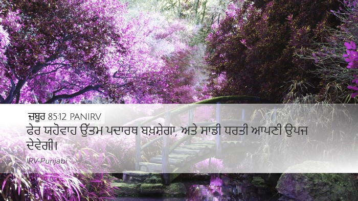 ਜ਼ਬੂਰ 85:12 PANIRV Desktop Wallpaper - ਫੇਰ ਯਹੋਵਾਹ ਉੱਤਮ - Desktop Bible Verse Wallpaper