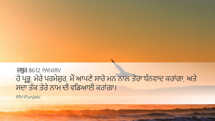 ਜ਼ਬੂਰ 86:12 PANIRV Bible Verse Image