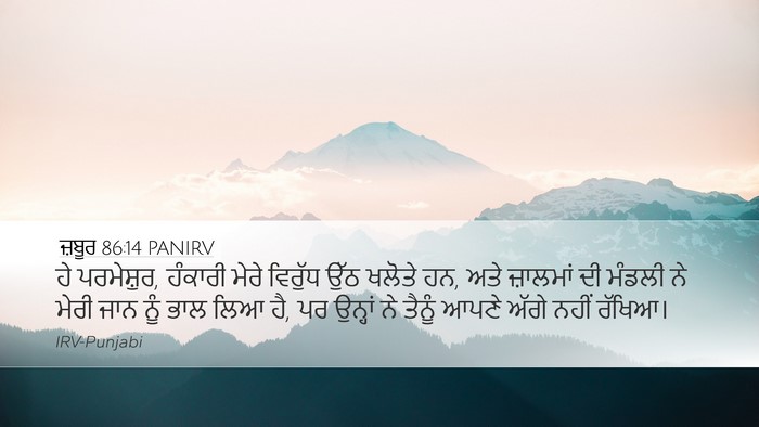 ਜ਼ਬੂਰ 86:14 PANIRV Bible Verse Image