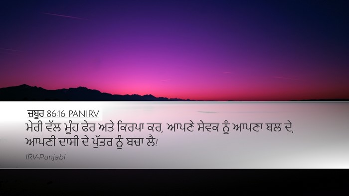 ਜ਼ਬੂਰ 86:16 PANIRV Bible Verse Image
