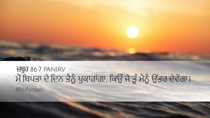 ਜ਼ਬੂਰ 86:7 PANIRV Bible Verse Image