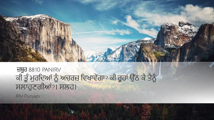 ਜ਼ਬੂਰ 88:10 PANIRV Bible Verse Image