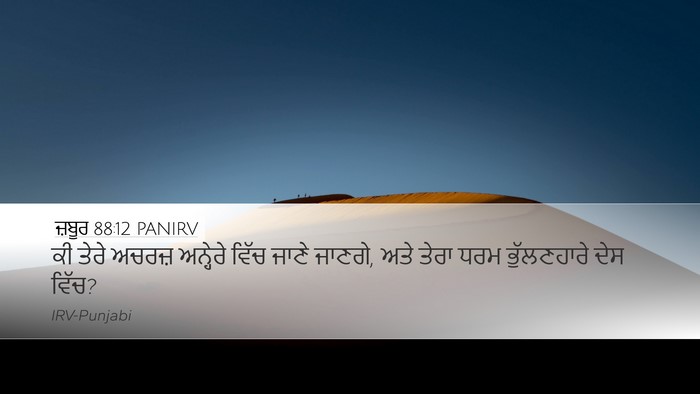 ਜ਼ਬੂਰ 88:12 PANIRV Desktop Wallpaper - ਕੀ ਤੇਰੇ ਅਚਰਜ਼ - Desktop Bible Verse Wallpaper