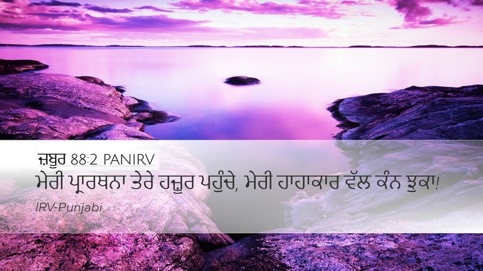 ਜ਼ਬੂਰ 88:2 PANIRV Bible Verse Image