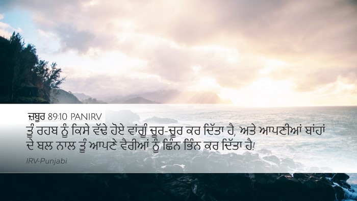 ਜ਼ਬੂਰ 89:10 PANIRV Bible Verse Image