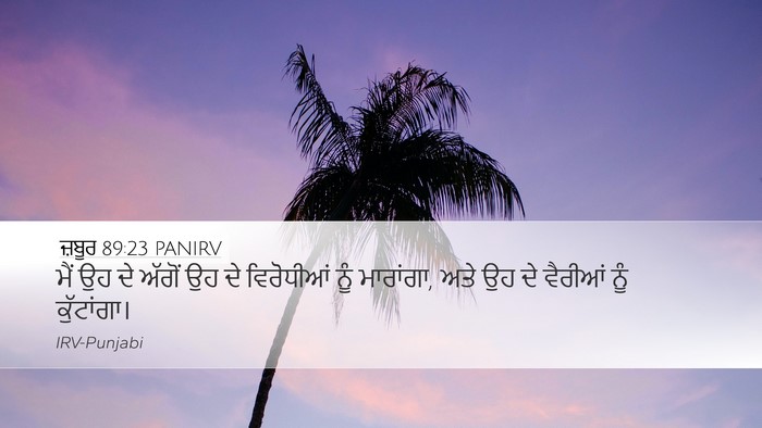 ਜ਼ਬੂਰ 89:23 PANIRV Bible Verse Image