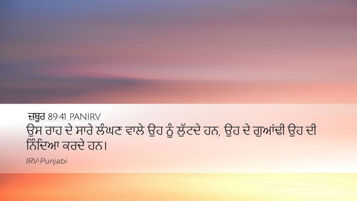 ਜ਼ਬੂਰ 89:41 PANIRV Bible Verse Image