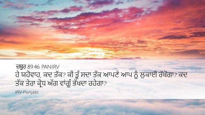 ਜ਼ਬੂਰ 89:46 PANIRV Bible Verse Image