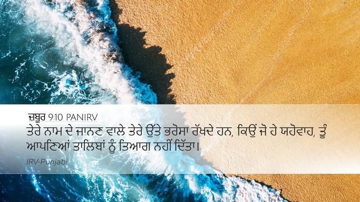 ਜ਼ਬੂਰ 9:10 PANIRV Bible Verse Image