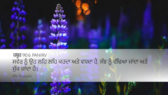 ਜ਼ਬੂਰ 90:6 PANIRV Bible Verse Image