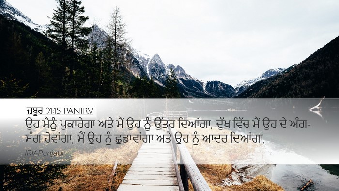 ਜ਼ਬੂਰ 91:15 PANIRV Bible Verse Image