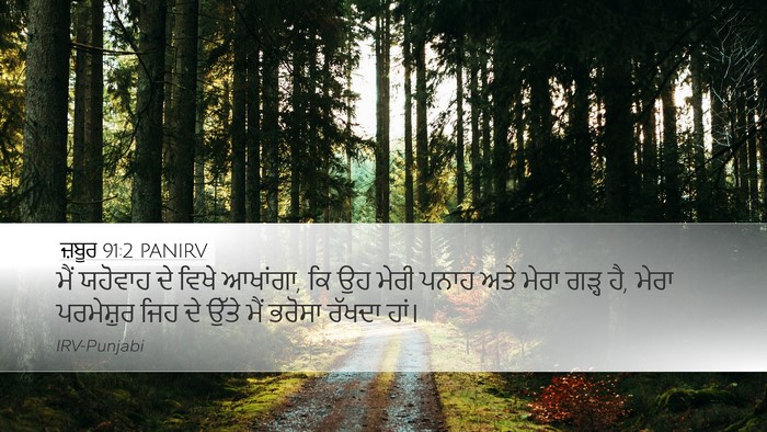 ਜ਼ਬੂਰ 91:2 PANIRV Bible Verse Image