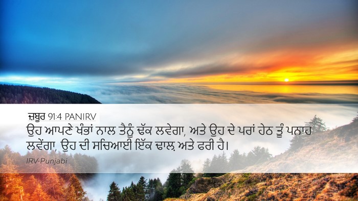 ਜ਼ਬੂਰ 91:4 PANIRV Bible Verse Image