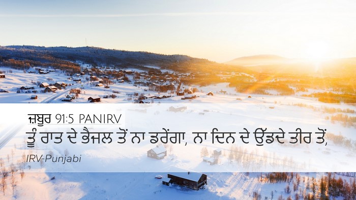 ਜ਼ਬੂਰ 91:5 PANIRV Bible Verse Image