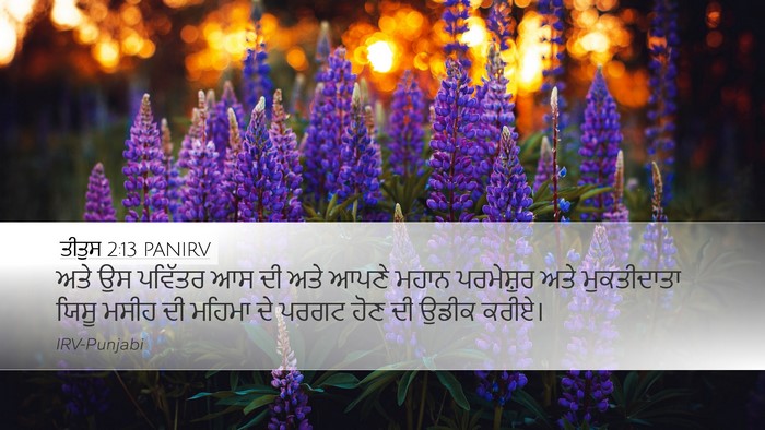 ਤੀਤੁਸ 2:13 PANIRV Bible Verse Image