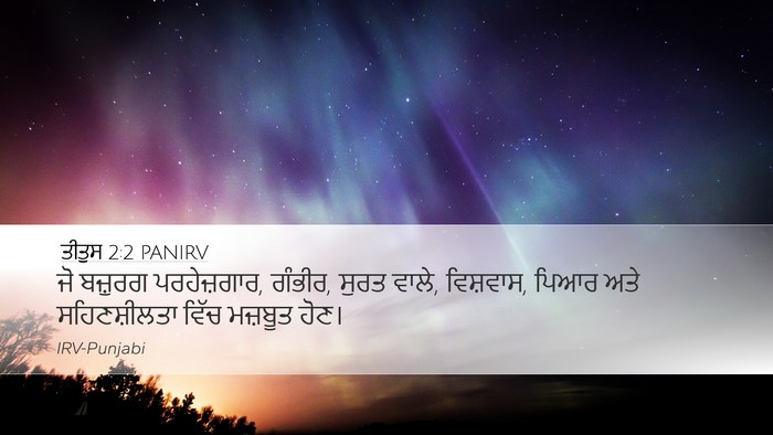 ਤੀਤੁਸ 2:2 PANIRV Bible Verse Image