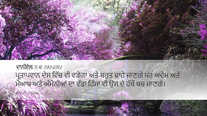 ਦਾਨੀਏਲ 11:41 PANIRV Bible Verse Image