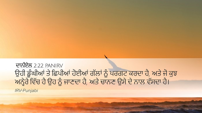 ਦਾਨੀਏਲ 2:22 PANIRV Bible Verse Image