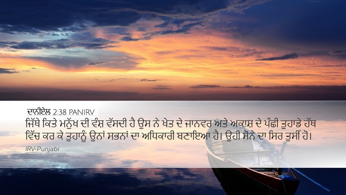 ਦਾਨੀਏਲ 2:38 PANIRV Bible Verse Image
