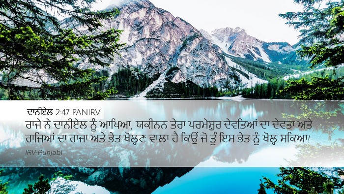ਦਾਨੀਏਲ 2:47 PANIRV Bible Verse Image