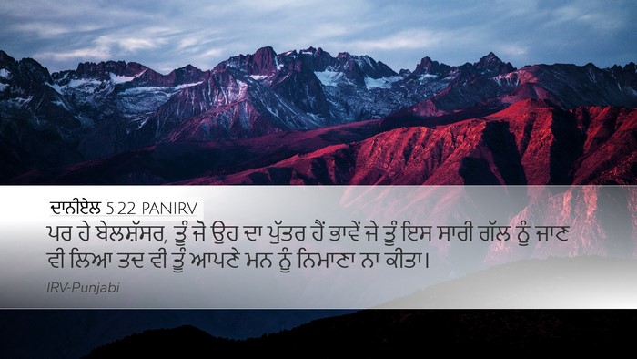 ਦਾਨੀਏਲ 5:22 PANIRV Bible Verse Image