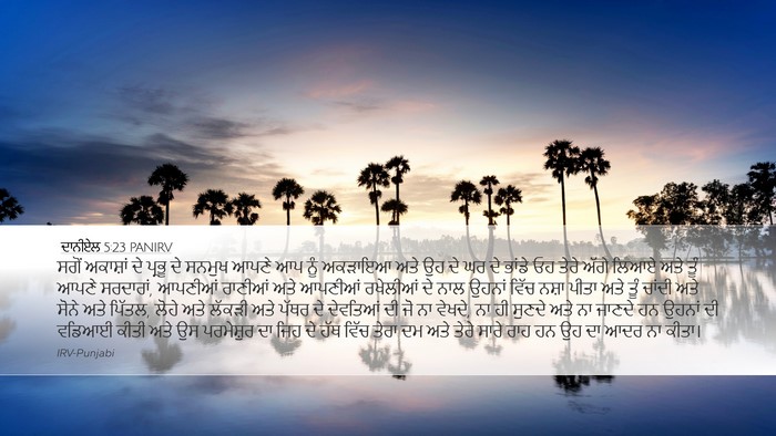 ਦਾਨੀਏਲ 5:23 PANIRV Bible Verse Image