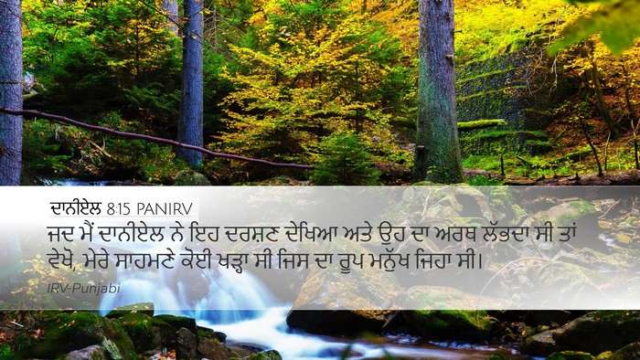 ਦਾਨੀਏਲ 8:15 PANIRV Bible Verse Image