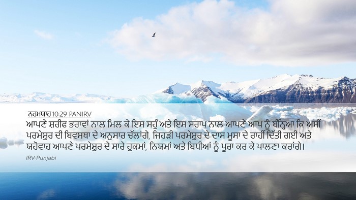 ਨਹਮਯਾਹ 10:29 PANIRV Bible Verse Image