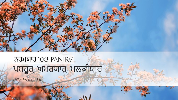 ਨਹਮਯਾਹ 10:3 PANIRV Desktop Wallpaper - ਪਸ਼ਹੂਰ, ਅਮਰਯਾਹ, - Desktop Bible Verse Wallpaper