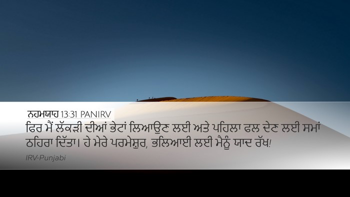 ਨਹਮਯਾਹ 13:31 PANIRV Bible Verse Image