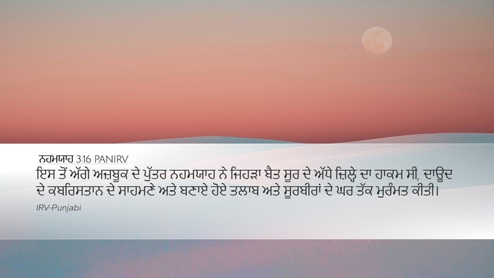 ਨਹਮਯਾਹ 3:16 PANIRV Bible Verse Image