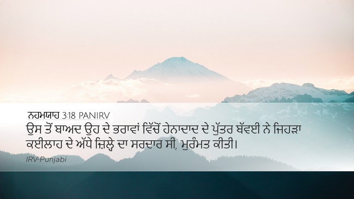 ਨਹਮਯਾਹ 3:18 PANIRV Bible Verse Image