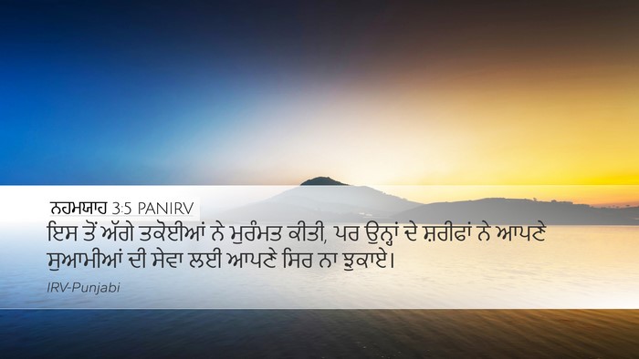 ਨਹਮਯਾਹ 3:5 PANIRV Bible Verse Image