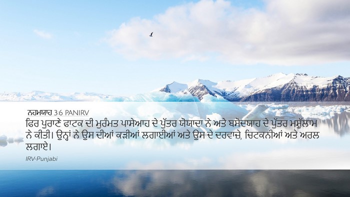 ਨਹਮਯਾਹ 3:6 PANIRV Bible Verse Image