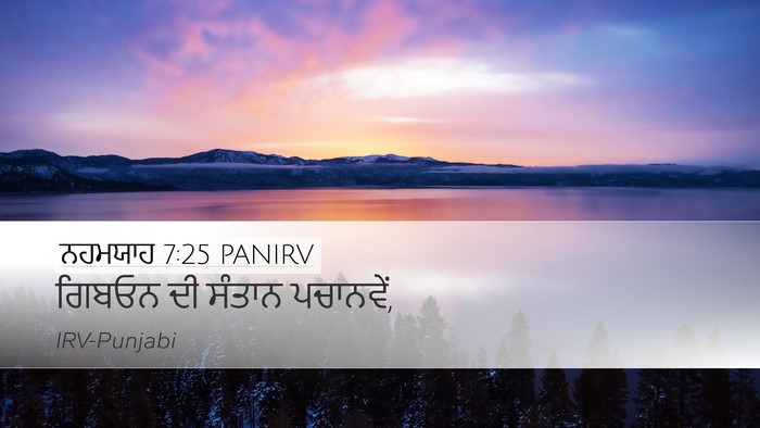 ਨਹਮਯਾਹ 7:25 PANIRV Bible Verse Image