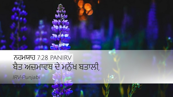 ਨਹਮਯਾਹ 7:28 PANIRV Desktop Wallpaper - ਬੈਤ ਅਜ਼ਮਾਵਥ ਦੇ - Desktop Bible Verse Wallpaper