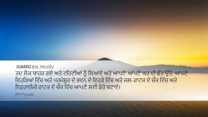 ਨਹਮਯਾਹ 8:16 PANIRV Bible Verse Image